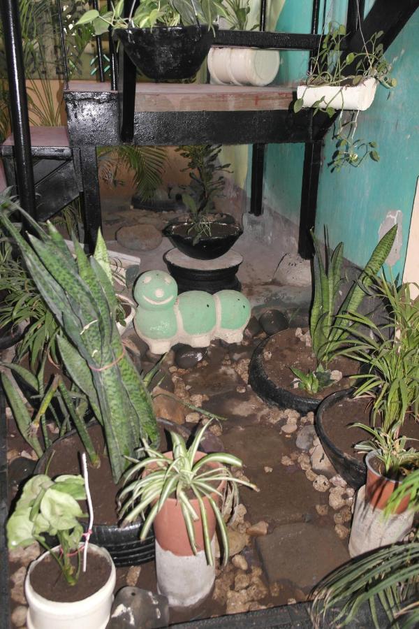 Hostal Nicaragua Guest House 마나과 외부 사진